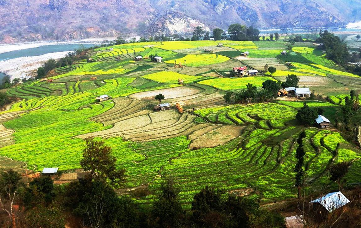 आजका तस्बिर- माघ २७