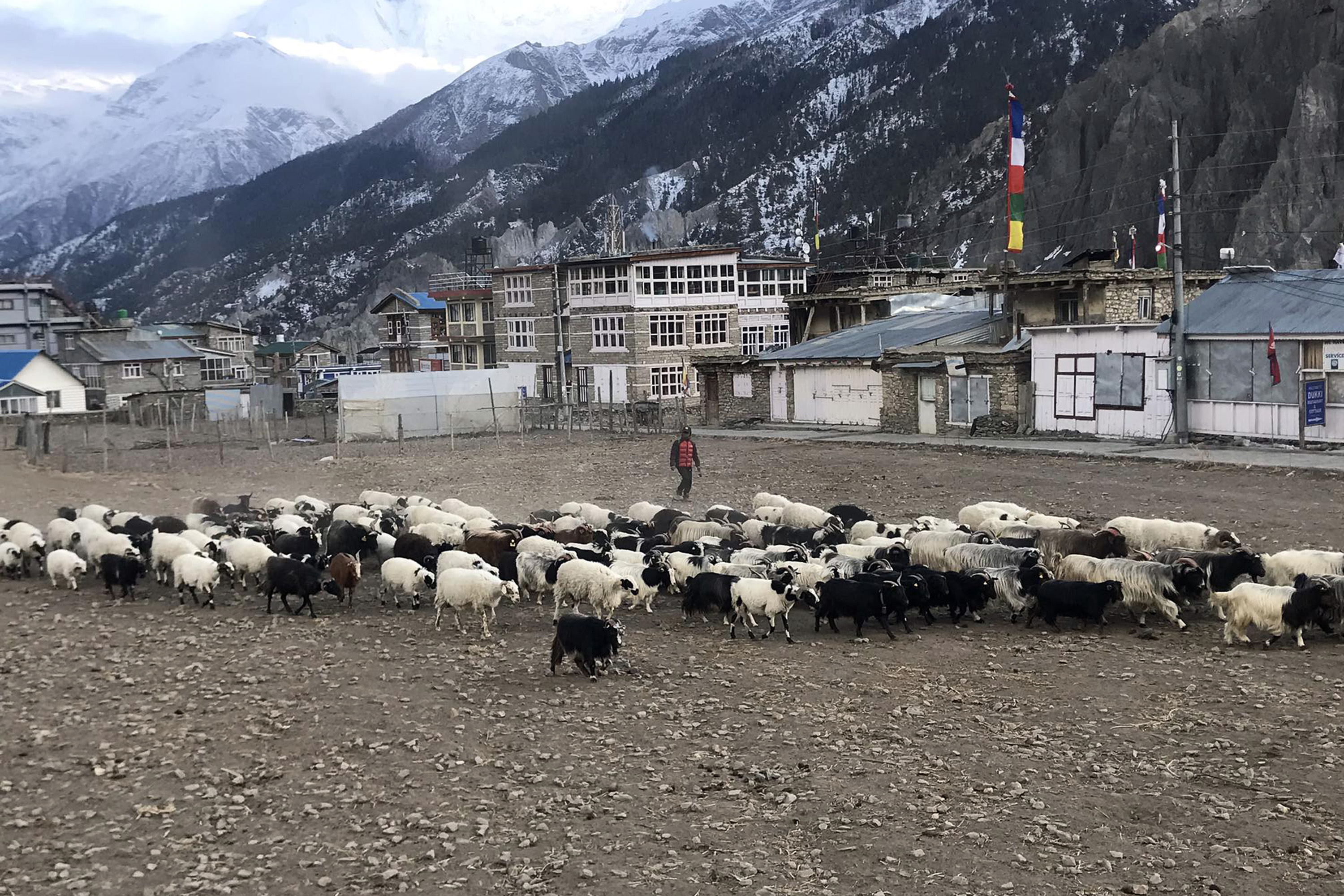 NL_Manang_2830172430474818-1708665851.jpg