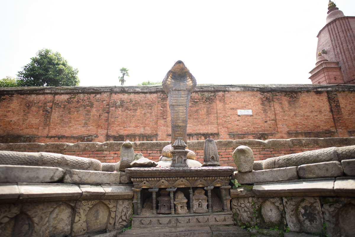 Naag3-1753806040.jpg
