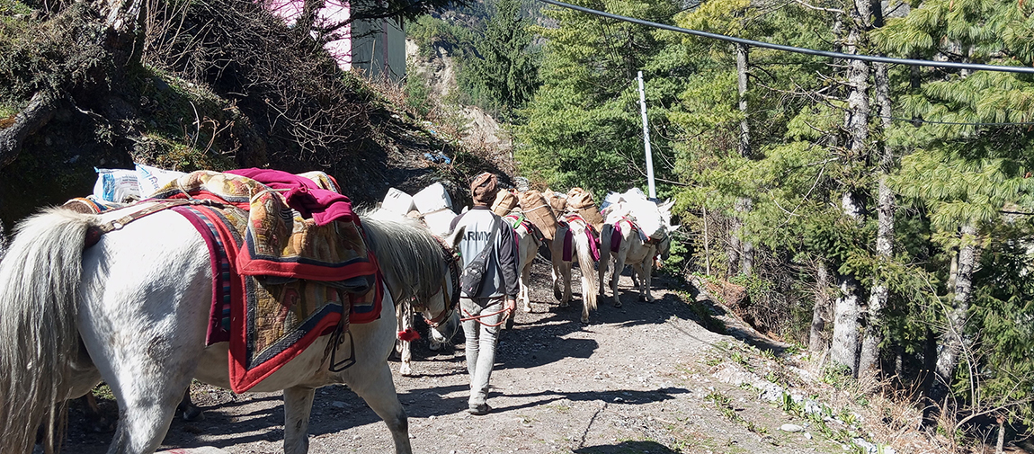 आजका तस्बिर- चैत २२