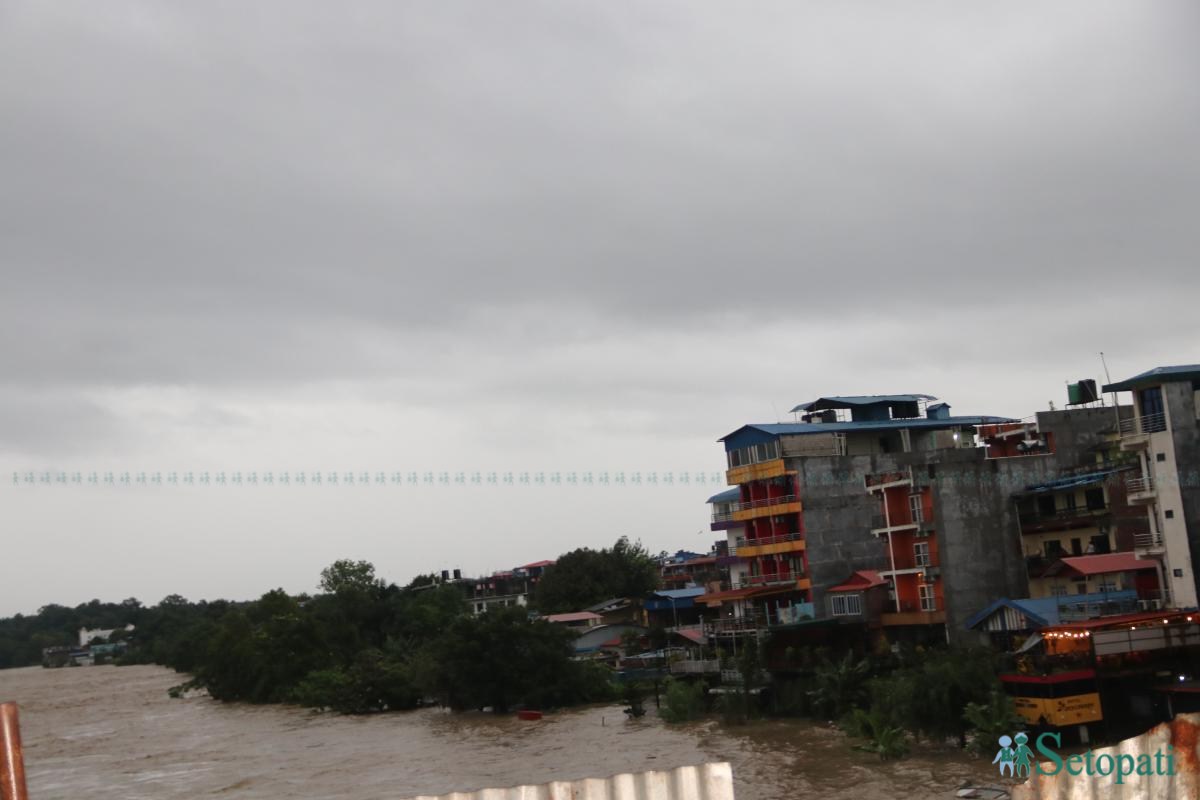 Narayani-Badhi_NPL-(5)-ink-1790485019.jpeg