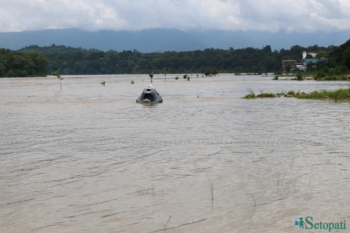 Narayani-River-Chitwan-Photos_NPL_Nisha-Shrestha-(13)-ink-1786006567.jpeg