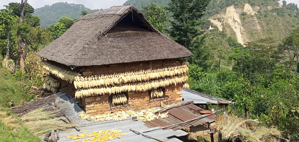 आजका तस्बिर- फागुन १४