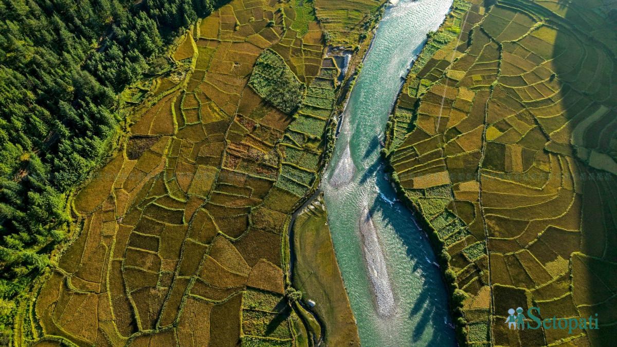 Paddy-fild_Jumla_PCT_NPL-(16)-ink-1791012133.jpeg