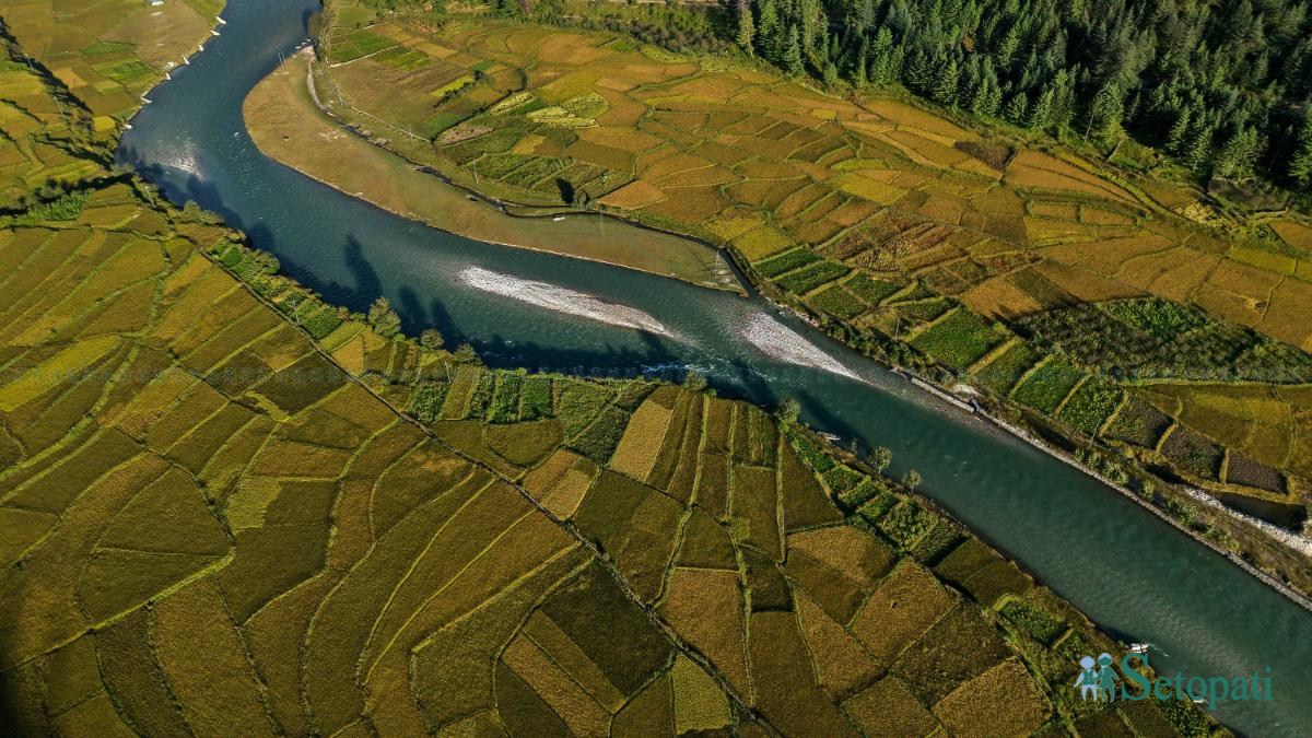 Paddy-fild_Jumla_PCT_NPL-(19)-ink-1791012134.jpeg