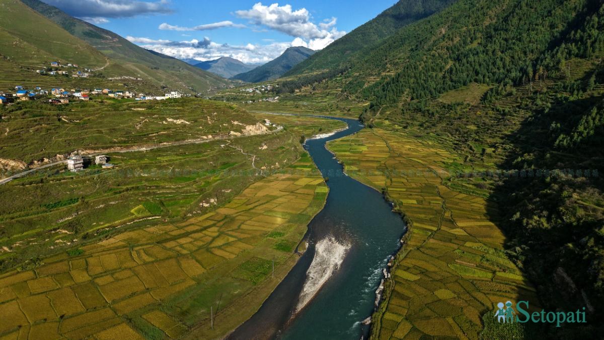 Paddy-fild_Jumla_PCT_NPL-(7)-ink-1791012132.jpeg
