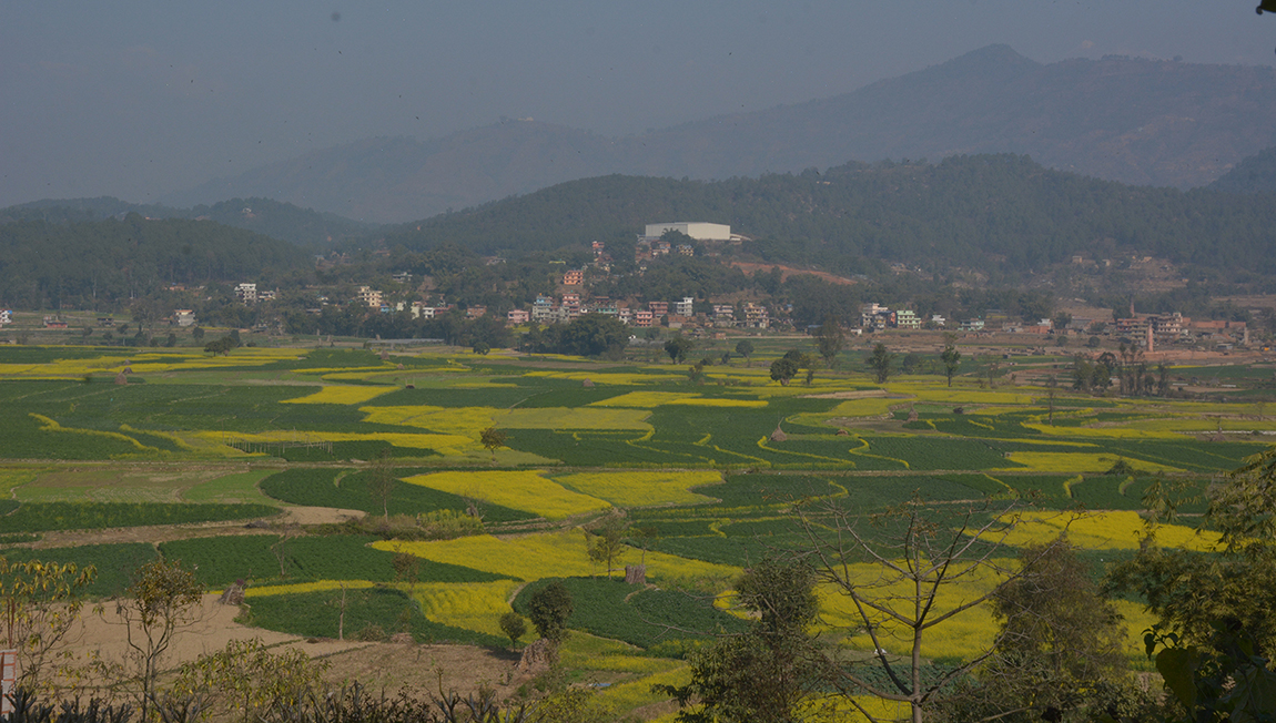 आजका तस्बिर- माघ २