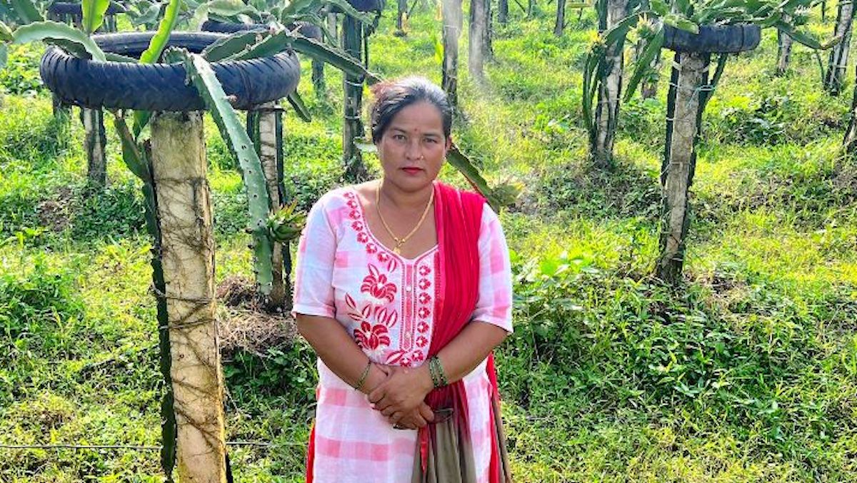 पद्मा बुढा