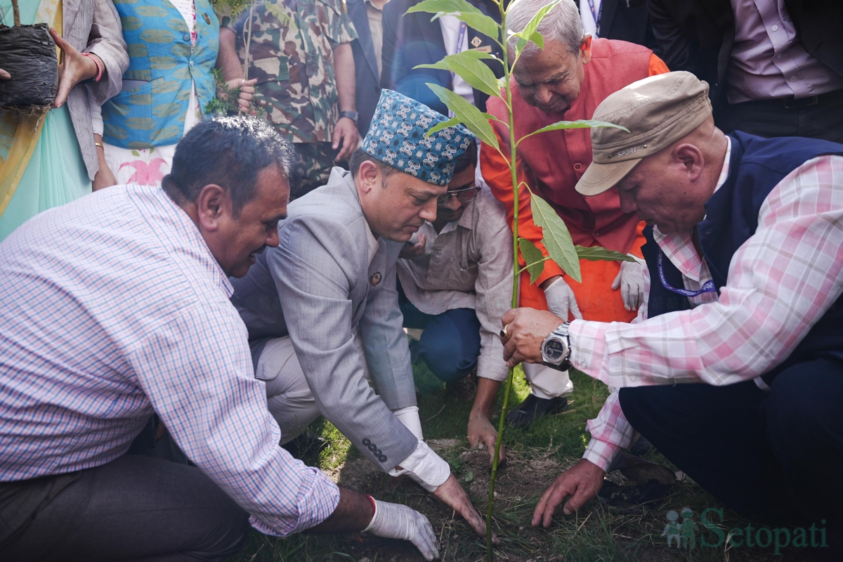 Plantation-_-1047-1786715109.jpg
