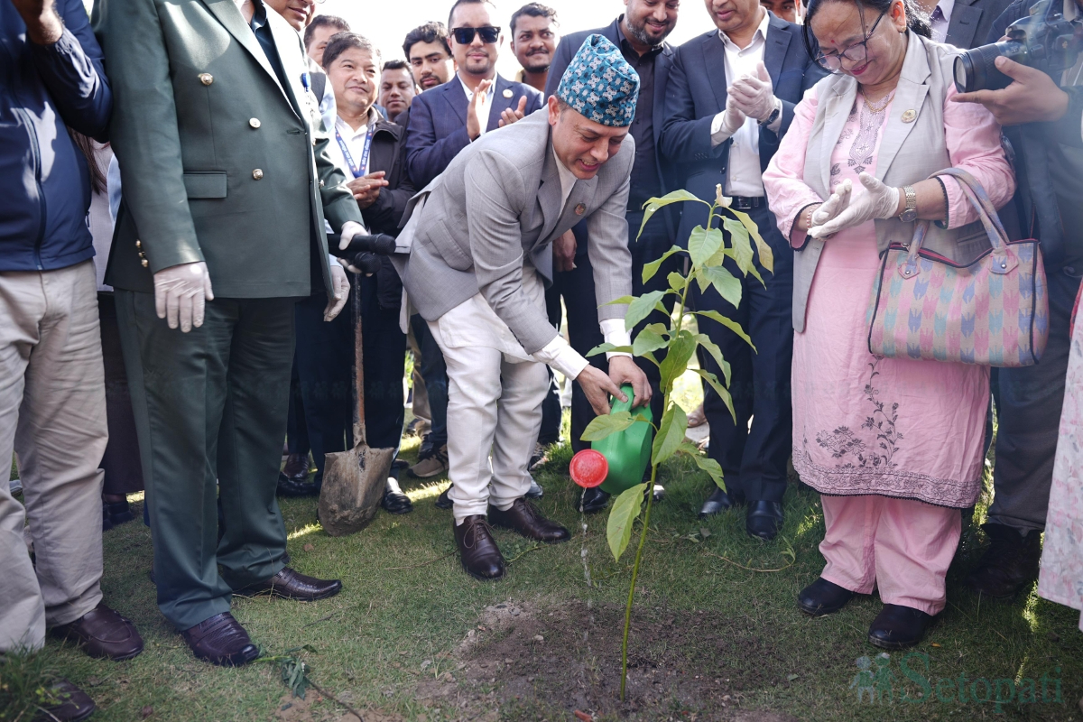 Plantation-_-1048-1786715109.jpg