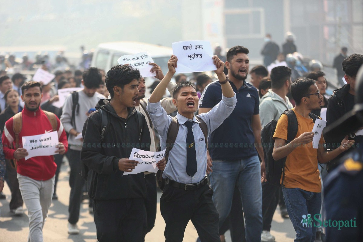 Protest_NPL2-ink-1743494317.jpeg