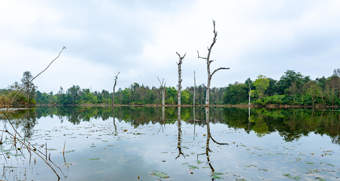 बाँकेको बैजनाथ गाउँपालिका-३, सुतैयास्थित कृत्रिम कन्वाताल। यो ताल करिब ७ हेक्टर क्षेत्रफलमा फैलिएको छ। तस्बिर : रुपनी जि एम/रासस