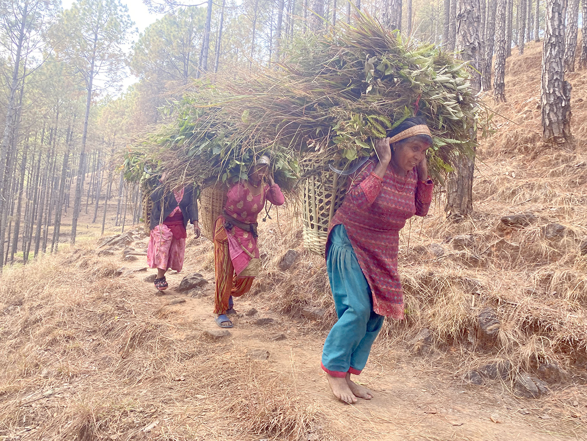 आजका तस्बिर- चैत १४