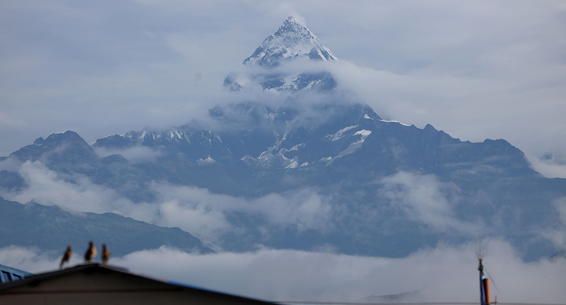 आजका तस्बिर- मंसिर १२