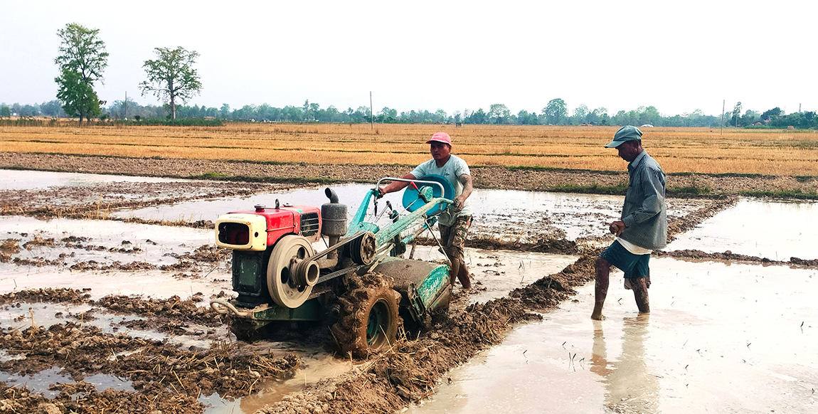 आजका तस्बिर- वैशाख १