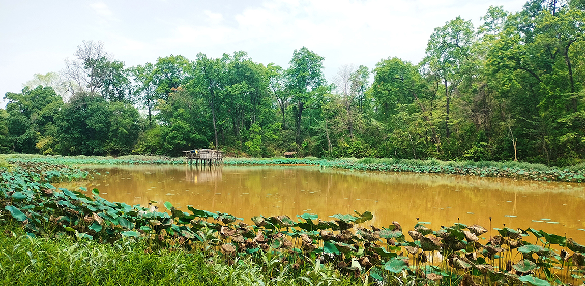 आजका तस्बिर- जेठ २१