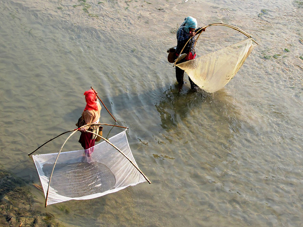 आजका तस्बिर- चैत ३०