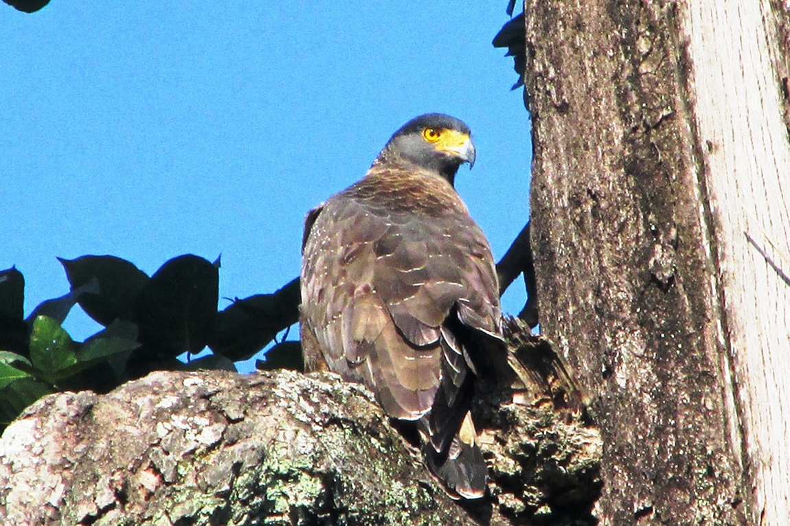 आजका तस्बिर: मंसिर १०