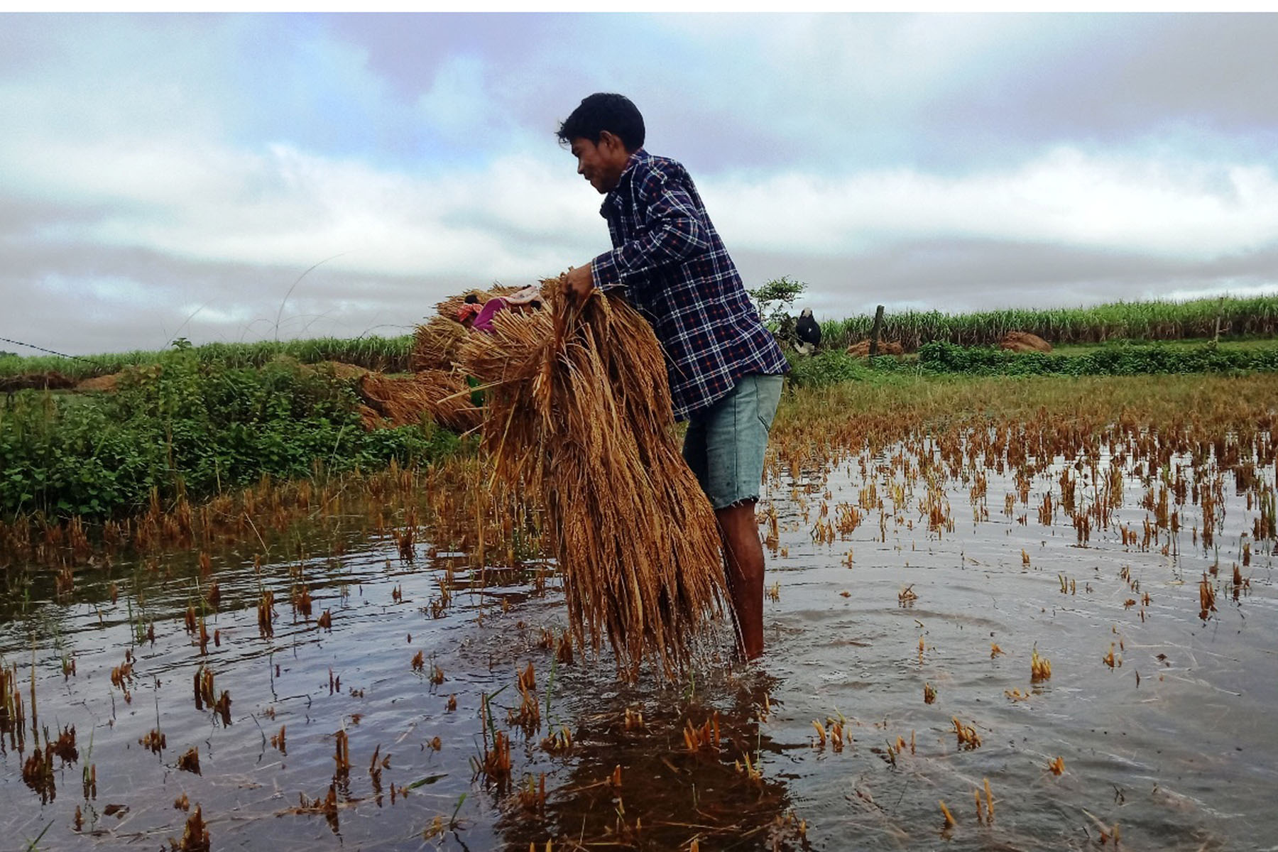 फाइल तस्बिर: रासस