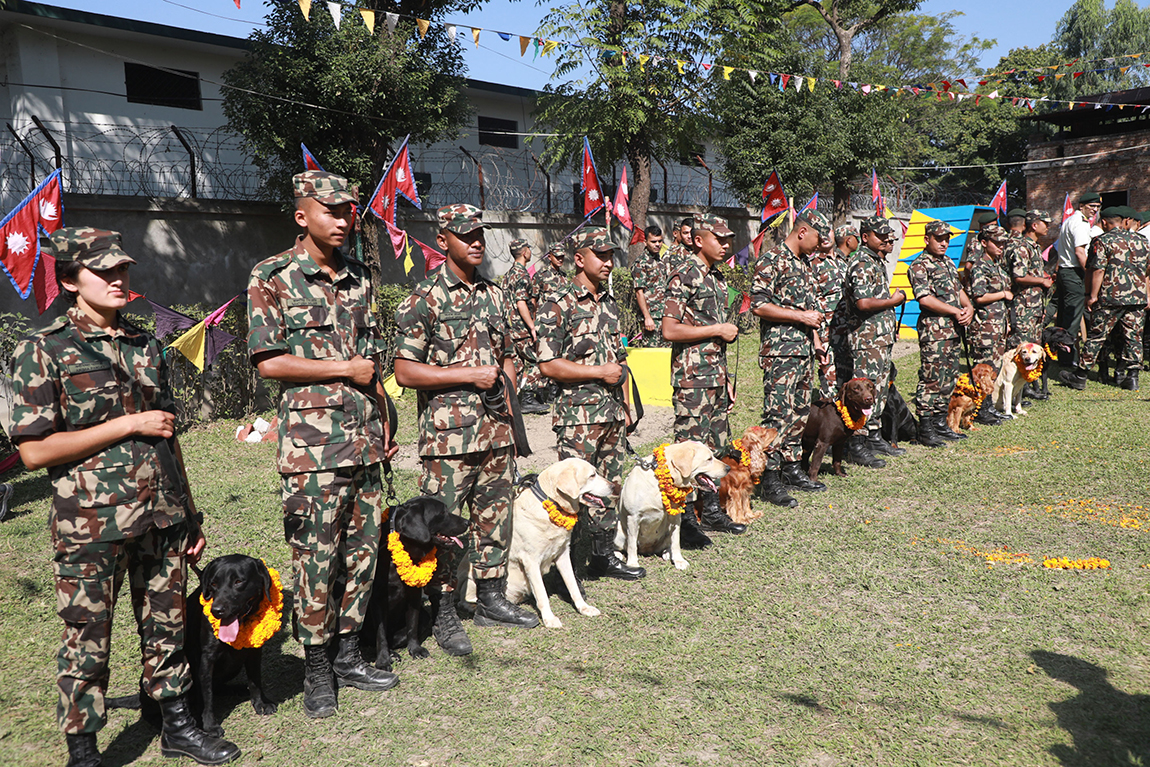 आजका तस्बिर- कात्तिक ३