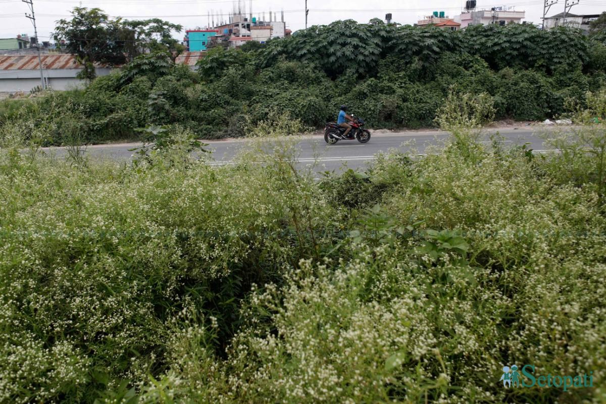 Ringroad_-1417-ink-1752984525.jpeg