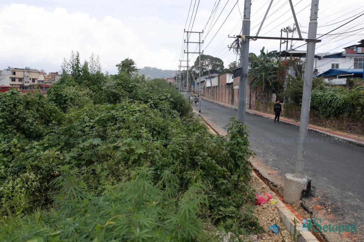 Ringroad_-1426-ink-1752984530.jpeg