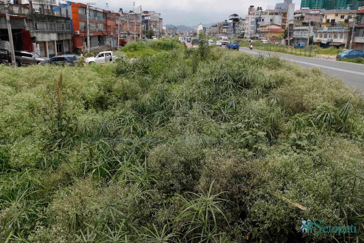 Ringroad_-1428-ink-1752984531.jpeg