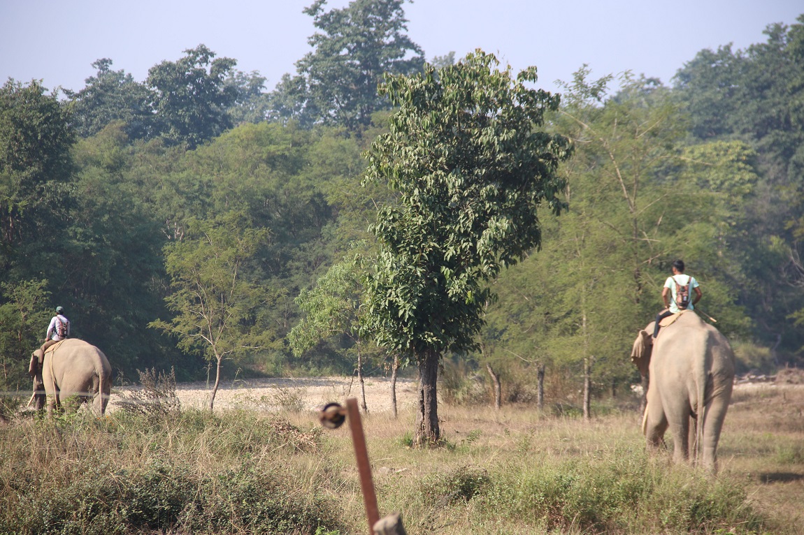 आजका तस्बिर-  मंसिर ८