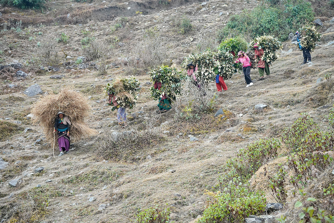 आजका तस्बिर- माघ २०