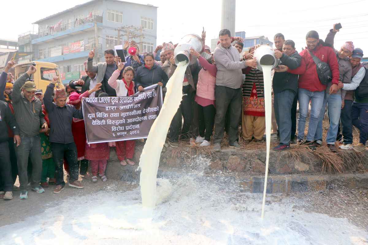 २०८० फागुनमा चितवनका दूध उत्पादक किसानहरूले गरेको आन्दोलन।
