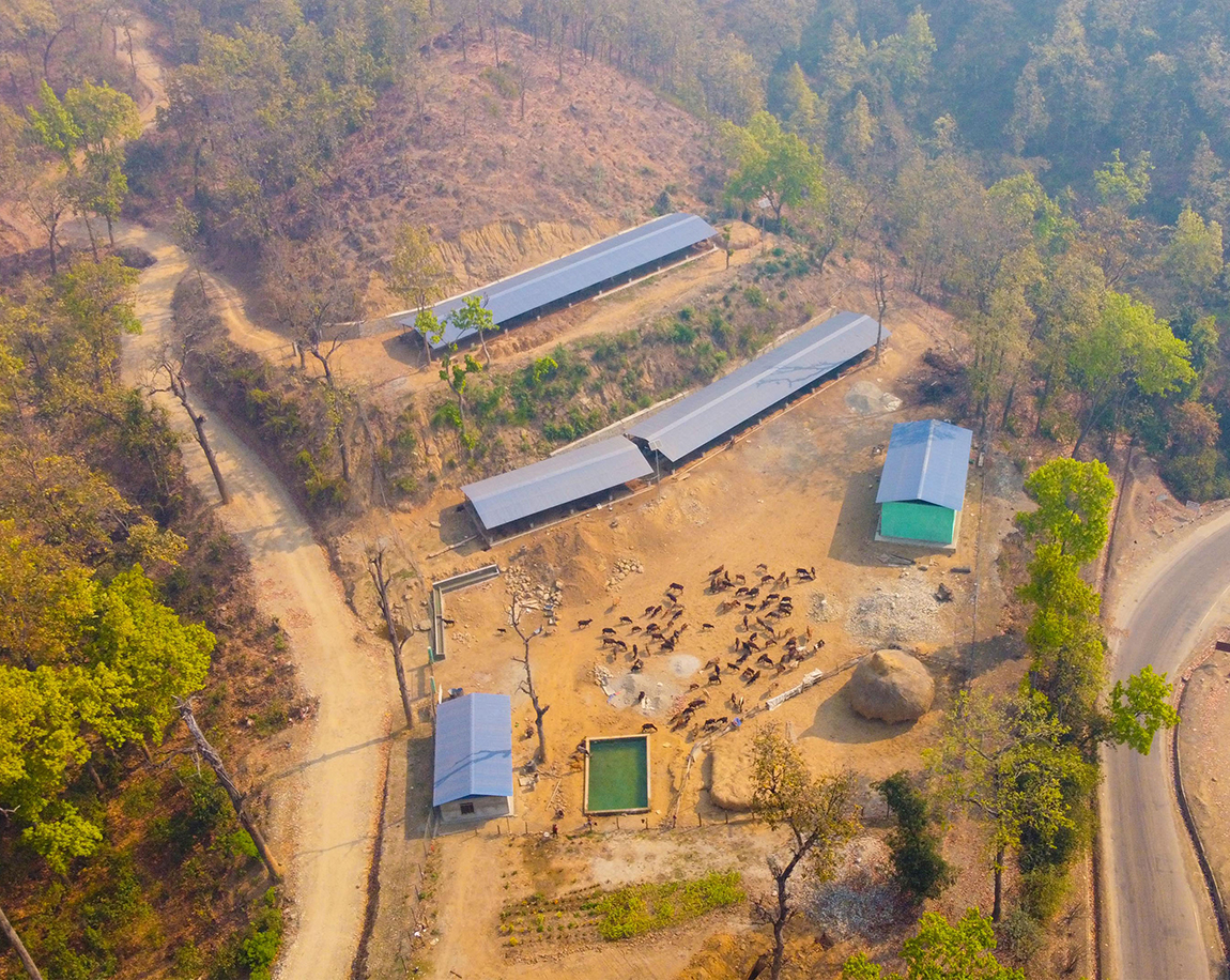 आजका तस्बिर- वैशाख १०