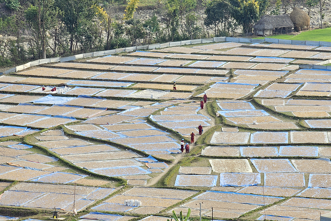 आजका तस्बिर-पुस ७