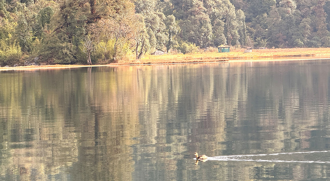 आजका तस्बिर- कात्तिक २४