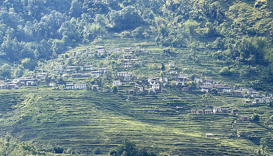 आजका तस्बिर- जेठ १६