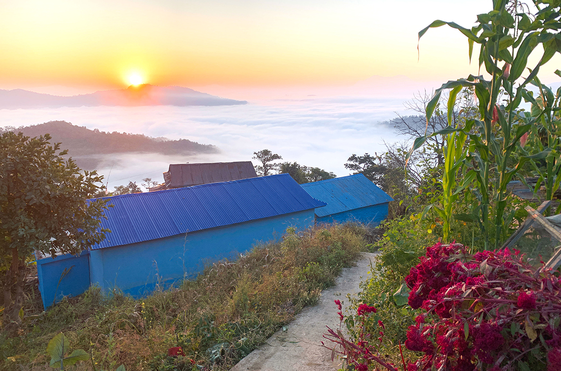 आजका तस्बिर- मंसिर २५