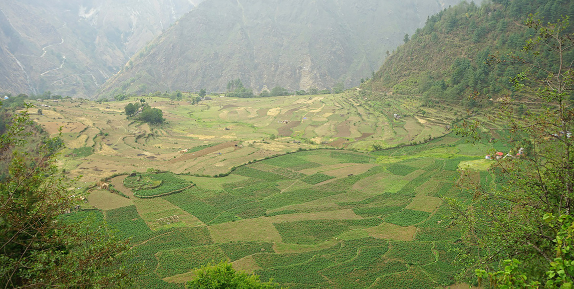 आजका तस्बिर- वैशाख ३१
