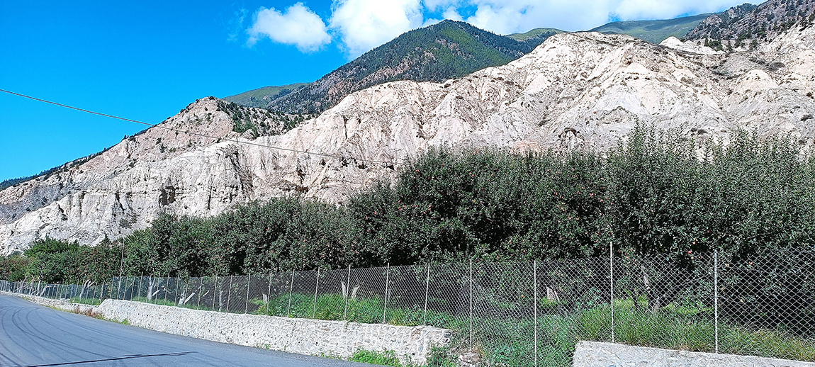 आजका तस्बिर- वैशाख १