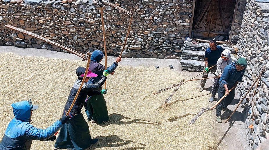 आजका तस्बिर- जेठ २५