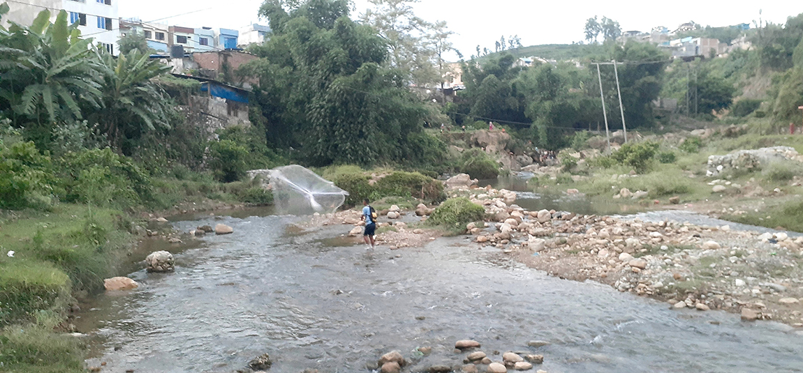 आजका तस्बिर- असार १४