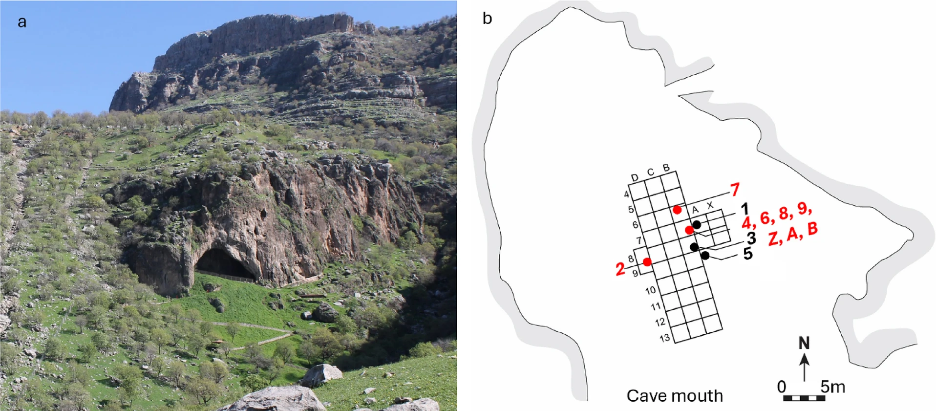 Shanidar_Cave-1792482721.jpg