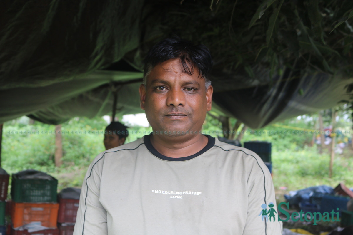 Shankar-Nepali-Mango-story16-1751999296.jpg
