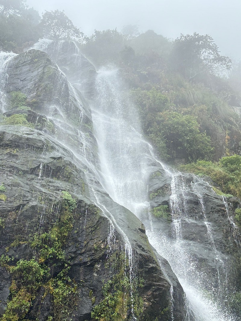 Singla-Pass-28-1759919715.jpg