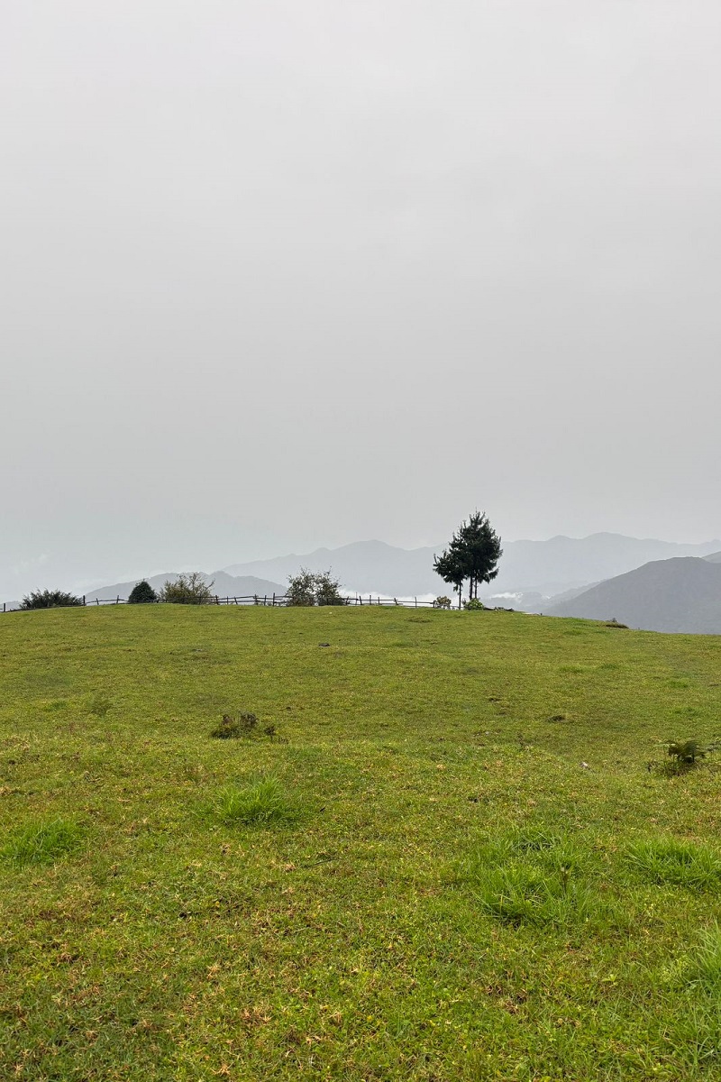Singla-Pass-42-1759919713.jpg