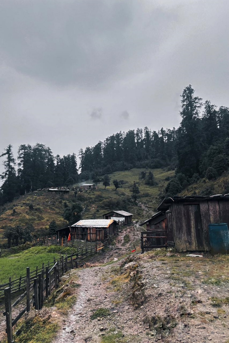 Singla-Pass-45-1759919713.jpg