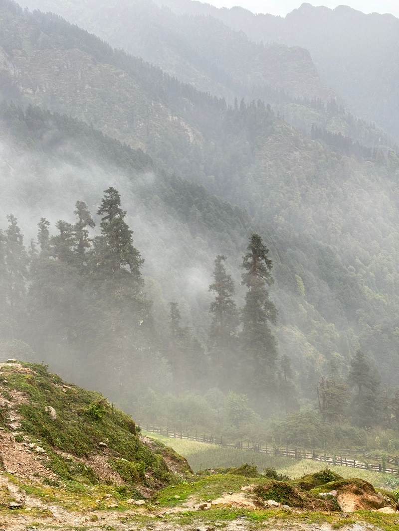 Singla-Pass-46-1759919718.jpg
