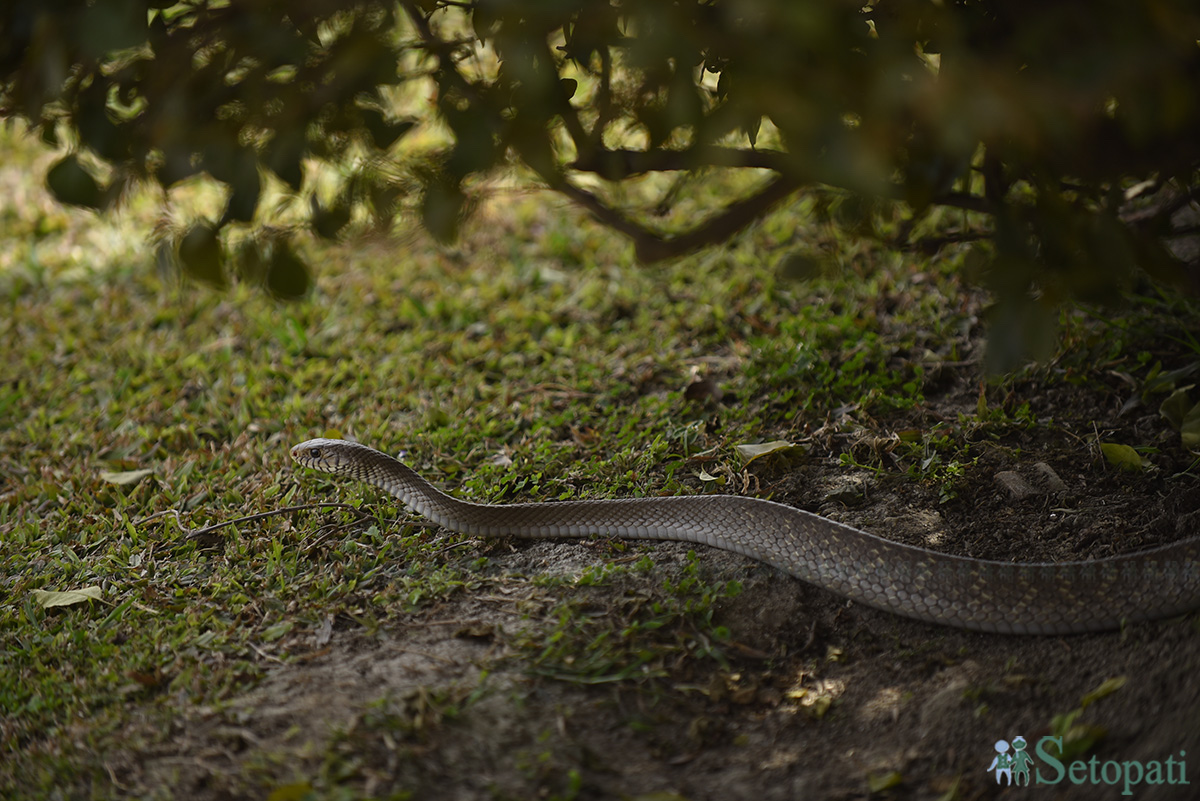 फाइल तस्बिर।