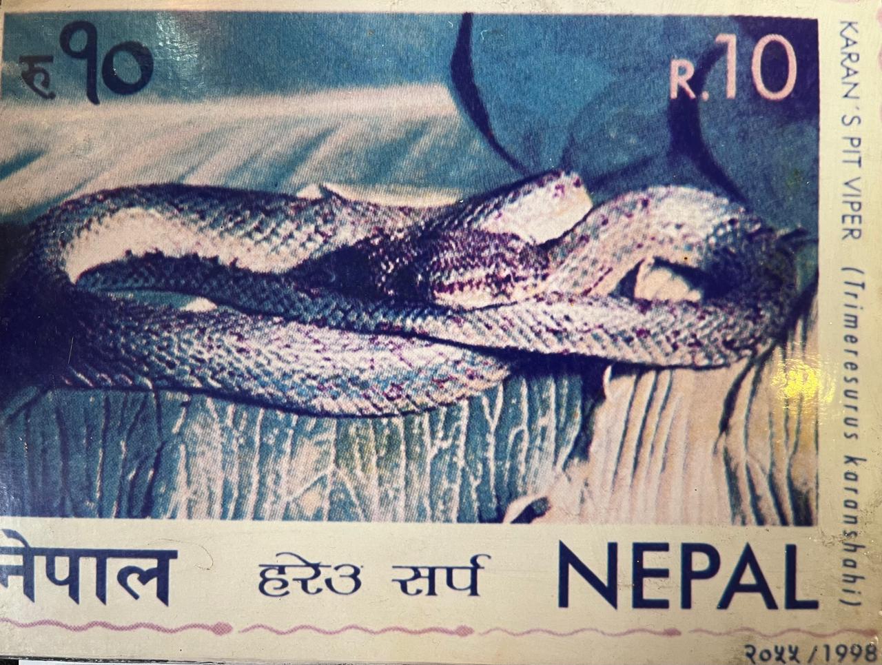 Snake2-1750607068.jpg