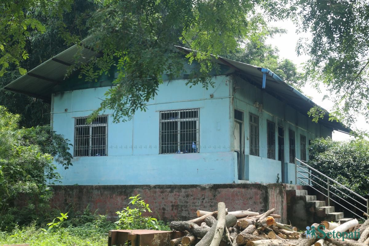 Sunsari-Gen-Z-Photos_NPL-(4)-ink-1789007285.jpeg
