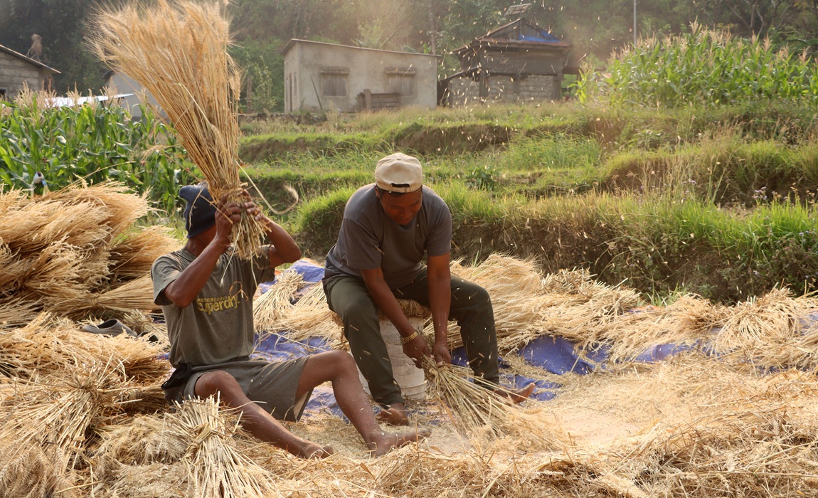 आजका तस्बिर- चैत १८