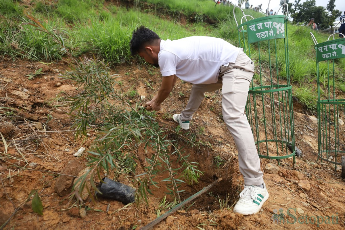 Tree-plantation_-(2)-1751099529.jpg